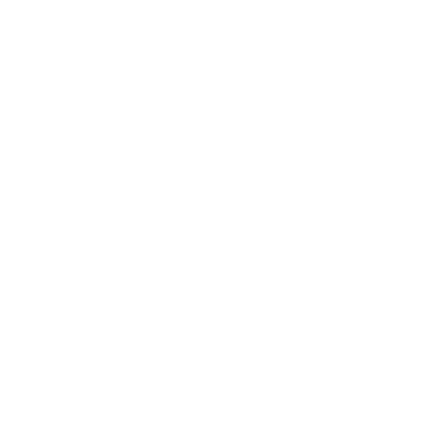 1963 Image illustration